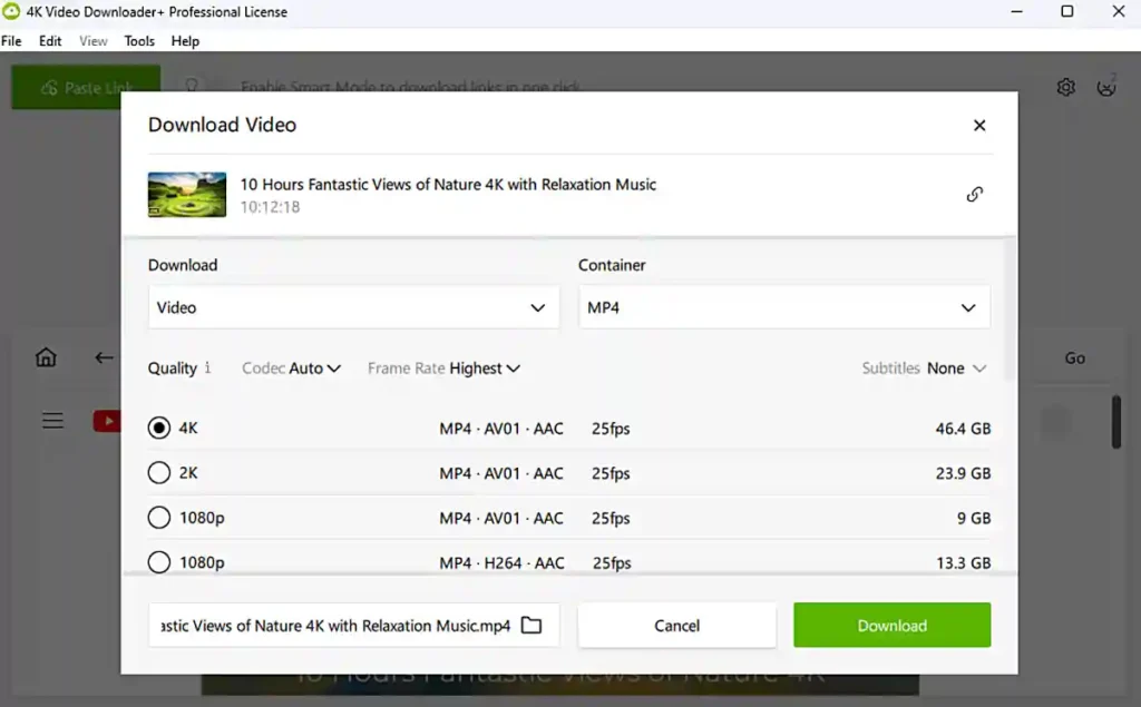 4K Video Downloader 실행 화면