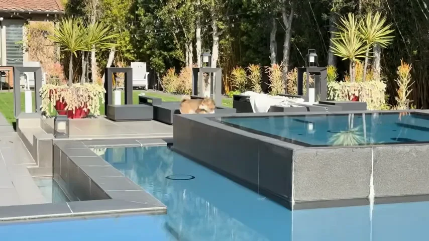 김병세 미국 자택 내부 모습 (출처: 유튜브 김병세)