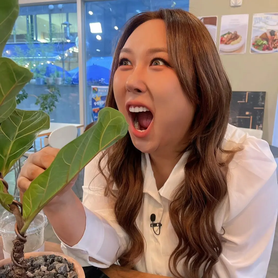 풍자 (출처: 인스타그램)