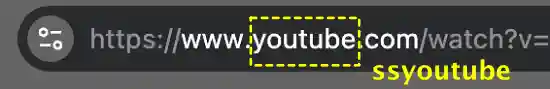 youtube 앞에 ss를 붙이는 방법