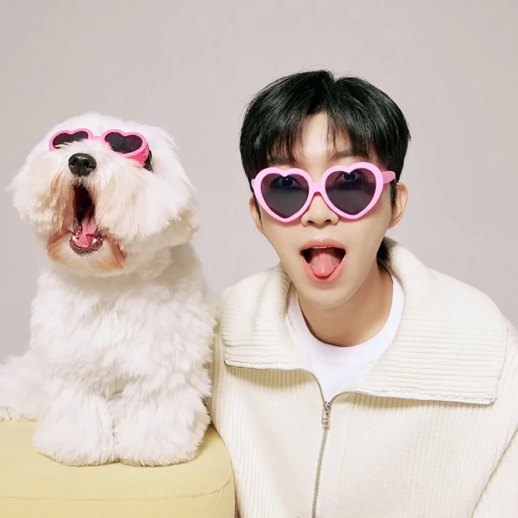 임영웅이 강아지와 함께 메롱을 하고 있는 모습