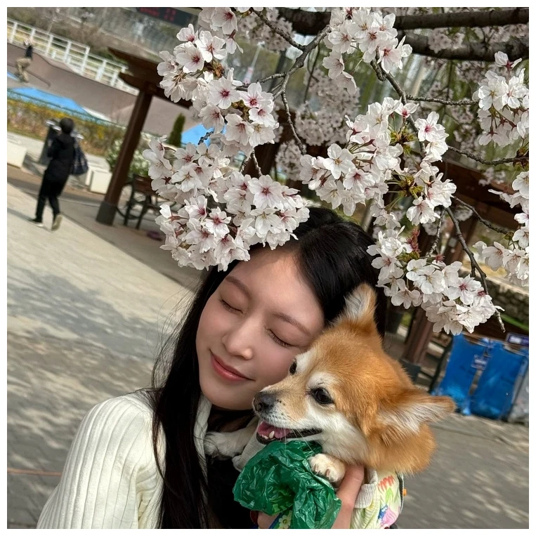 공승연 대비 윤이랑