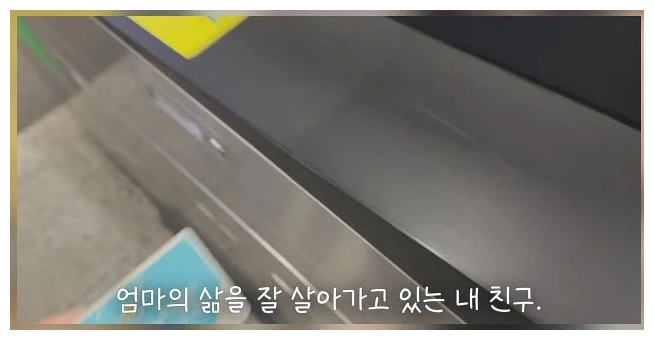 정선경 일본 벚꽃