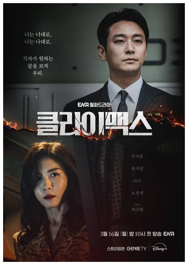 하지원 클라이맥스 드라마 포스터 이미지