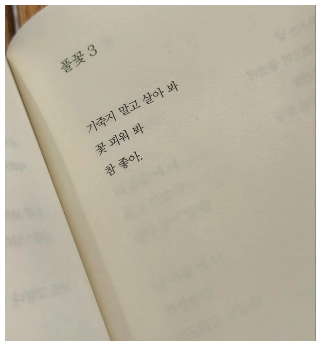 장원영 시집 구절 기죽지 말고 살아봐