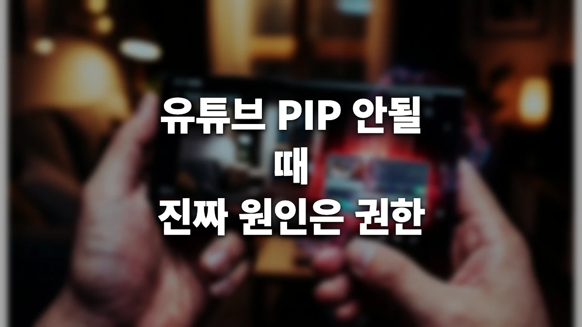 유튜브 PIP