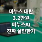 마누스 대란