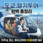 도쿄 헬기투어