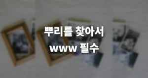 나의 뿌리를 찾아서 사이트 홈페이지 링크 및 사용방법 rootsinfo.co.kr 8 082288e5