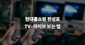 현대홈쇼핑 편성표 보는 방법(tv, 라이브 등) 싸이트 바로가기 https://www.hmall.com 5 9b811877