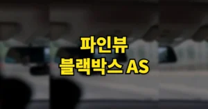 파인뷰 블랙박스 AS 수리 받는 법 | 기간 비용, 센터 위치와 전화번호 6 파인뷰 블랙박스 AS