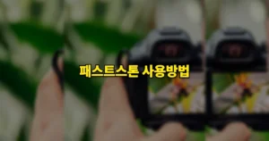 패스트스톤 사용방법 | FastStone 다운로드 설치, 셀렉방법, 단축키 총정리 4 패스트스톤 사용방법