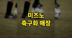 미즈노 축구화 매장 위치와 전화번호 | 서울 인천 대구 대전 등 공식 100곳 4 미즈노 축구화 매장