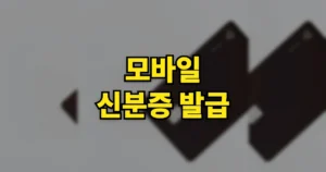 모바일 신분증 발급하기 | 네이버, 카카오톡 앱 등록 발급 방법 7 모바일 신분증 발급