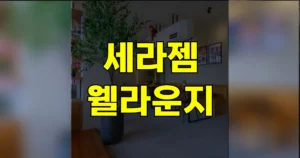 세라젬 웰라운지 위치 가격 이용 방법 | 대구 전주 잠실 동탄 등 5 세라젬 웰라운지