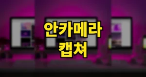 안카메라 캡쳐 녹화 사용방법 | 구버전 라이트 다운로드 바로가기 4 안카메라 캡쳐 녹화 사용방법