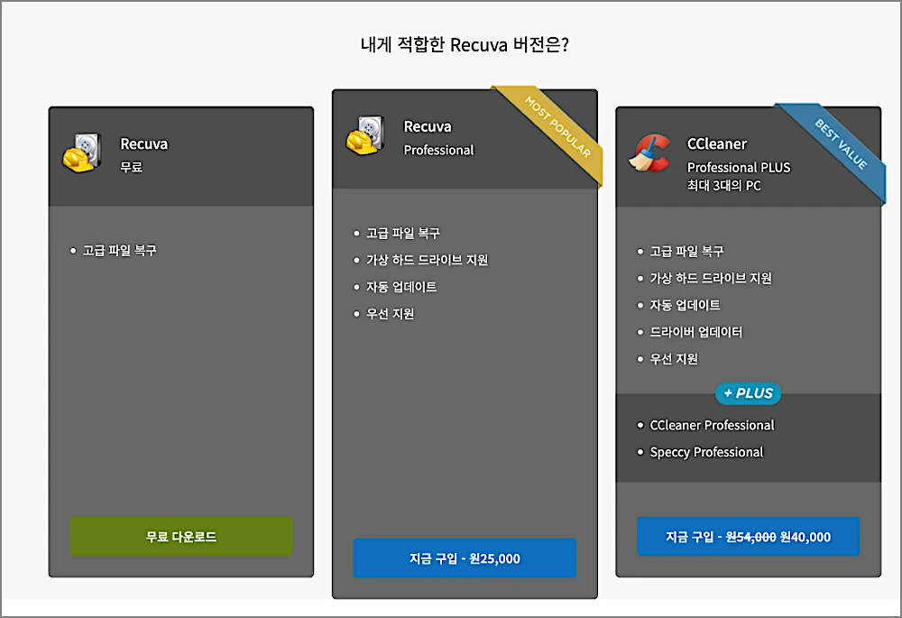 Recuva 무료 다운로드 설치 사용방법 | USB·휴대폰 복구 포함, 빨간색 뜨면? 5 Recuva 유료 Professional 비교