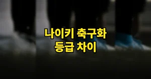 나이키 축구화 등급 차이 표 정리 바로가기 | 엘리트·프로 뭐가 다를까? 최대 24만원 5 나이키 축구화 등급 차이