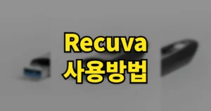 Recuva 무료 다운로드 설치 사용방법 | USB·휴대폰 복구 포함, 빨간색 뜨면? 2 recuva 사용방법